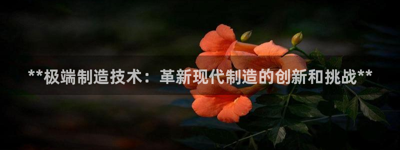 彩神购彩-购彩大厅入口计划群：**极端制造技术：革新现代制造
