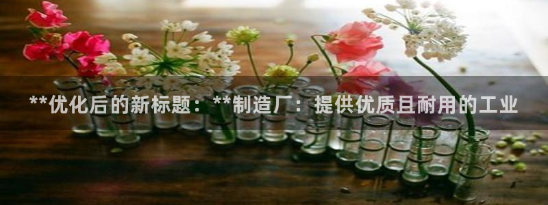 彩神怎么才能赢：**优化后的新标题：**制造厂：提供优质且耐