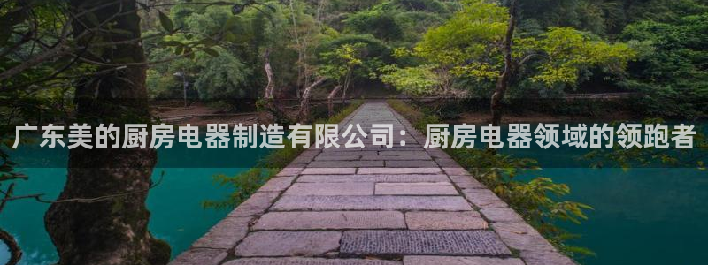 彩神8是正规平台吗安全吗：广东美的厨房电器制造有限公司：厨房