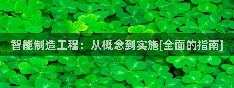 彩神是真的吗：智能制造工程：从概念到实施[全面的指南]