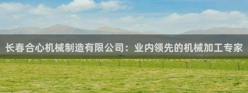 彩神输的钱是赌博还是诈骗：长春合心机械制造有限公司：业内领先