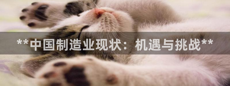 彩神v争霸是啥：**中国制造业现状：机遇与挑战**