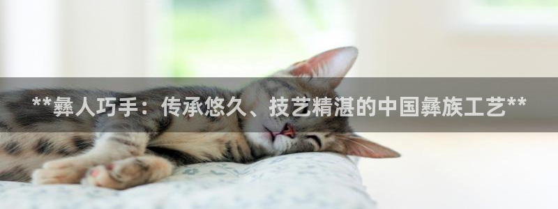 彩神vll购彩大厅大众：**彝人巧手：传承悠久、技艺精湛的中
