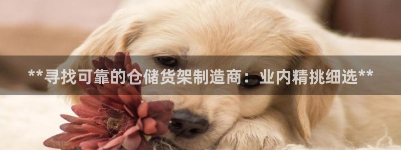 彩神Vii购彩-购彩大厅：**寻找可靠的仓储货架制造商：业内精挑细选**