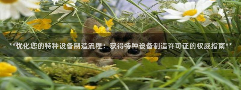 彩神官方登录：**优化您的特种设备制造流程：获得特种设备制造