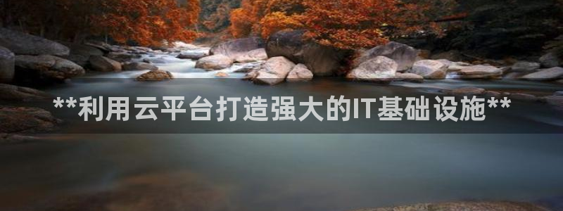 彩神通关注码金码对应码：**利用云平台打造强大的IT基础设施**