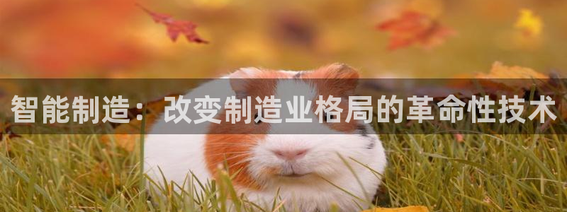 彩神vip购彩大厅下载