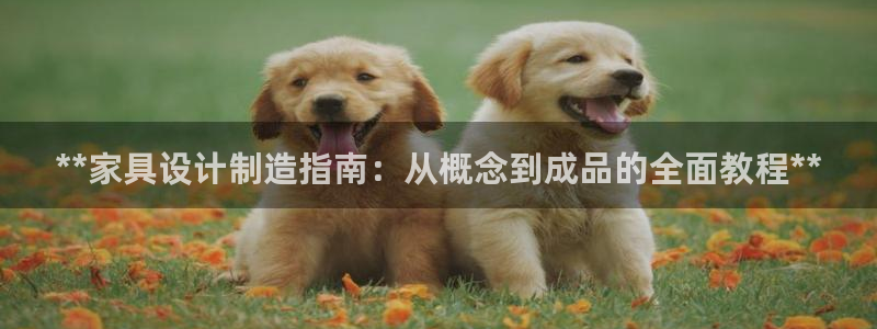 彩神v彩搜狗：**家具设计制造指南：从概念到成品的全面教程*