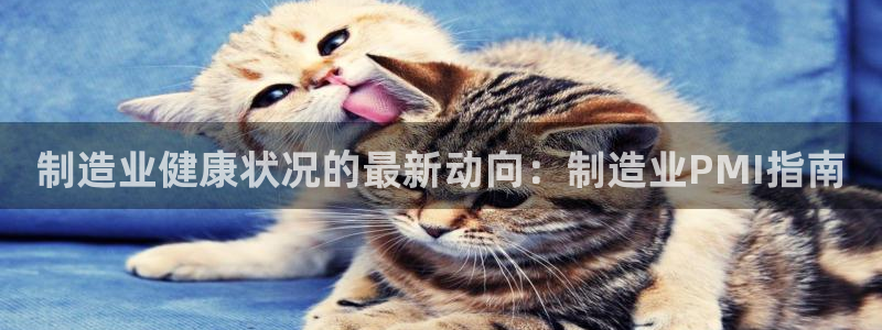 彩神赢钱了吗：制造业健康状况的最新动向：制造业PMI指南