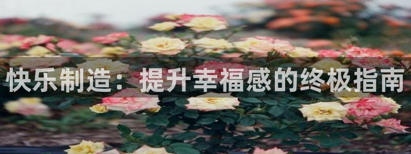 彩神v8是真的挣钱吗知乎：快乐制造：提升幸福感的终极指南