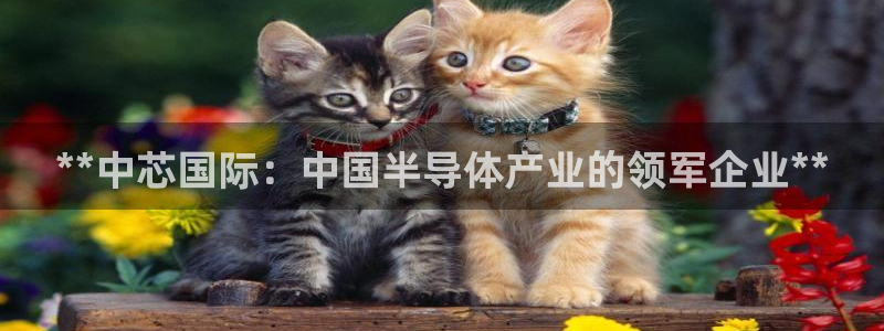 彩神ix平台：**中芯国际：中国半导体产业的领军企业**