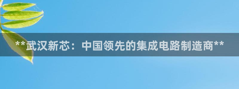 彩神是正规平台吗安全吗：**武汉新芯：中国领先的集成电路制造