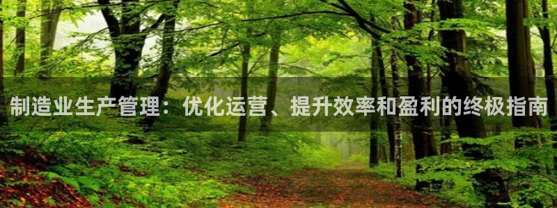 彩神v8是一个什么平台游戏：制造业生产管理：优化运营、提升效
