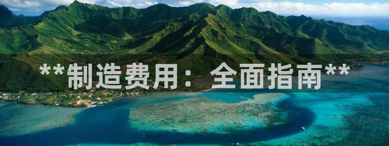 彩神ii官方网：**制造费用：全面指南**