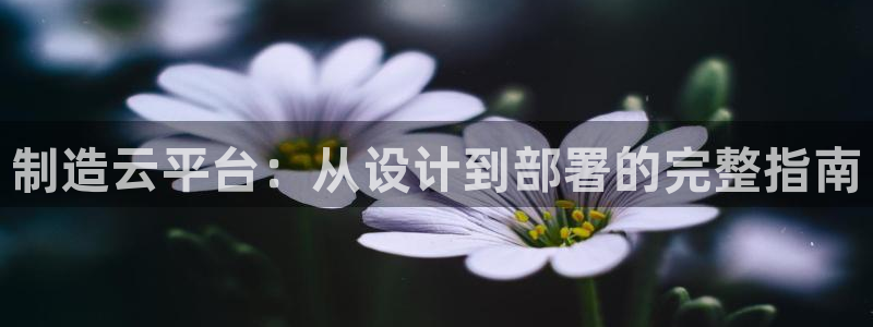 彩神是正规平台吗