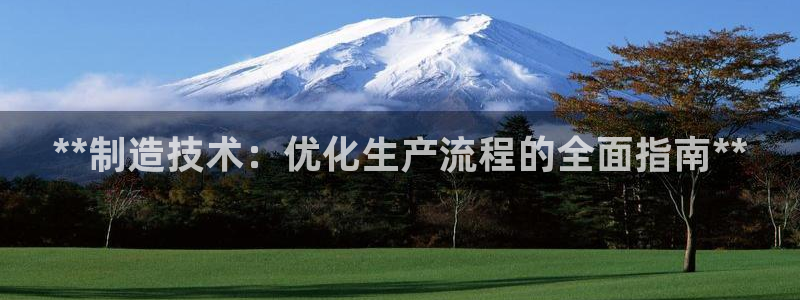 所有彩神购买首页：**制造技术：优化生产流程的全面指南**