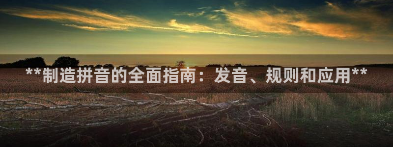 彩神平台注册登录：**制造拼音的全面指南：发音、规则和应用*