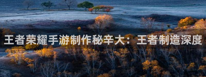 彩神v|：王者荣耀手游制作秘辛大：王者制造深度