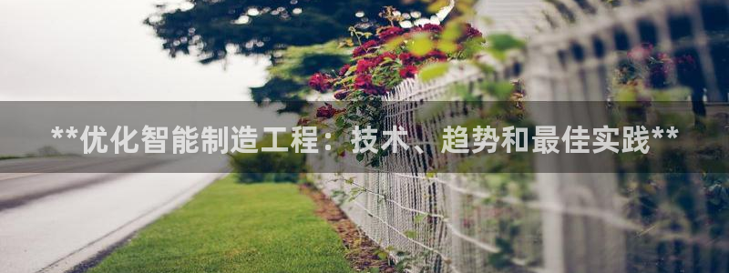 彩神vip购彩大厅在哪：**优化智能制造工程：技术、趋势和最佳实践**
