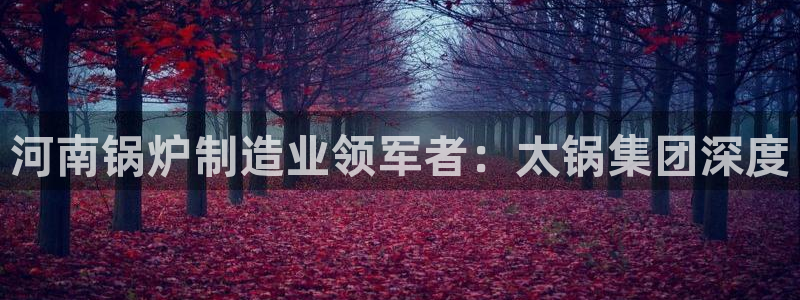 彩神是正规平台吗：河南锅炉制造业领军者：太锅集团深度