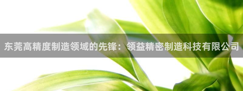 彩神ⅴll是什么样平台：东莞高精度制造领域的先锋：领益精密制造科技有限公司