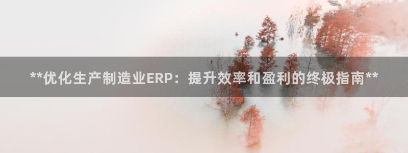 彩神赢的钱是哪里来的啊：**优化生产制造业ERP：提升效率和