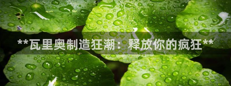 彩神velcome购彩大厅
