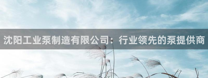 彩神网官网登录：沈阳工业泵制造有限公司：行业领先的泵提供商