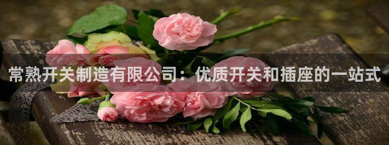 彩神系列平台：常熟开关制造有限公司：优质开关和插座的一站式