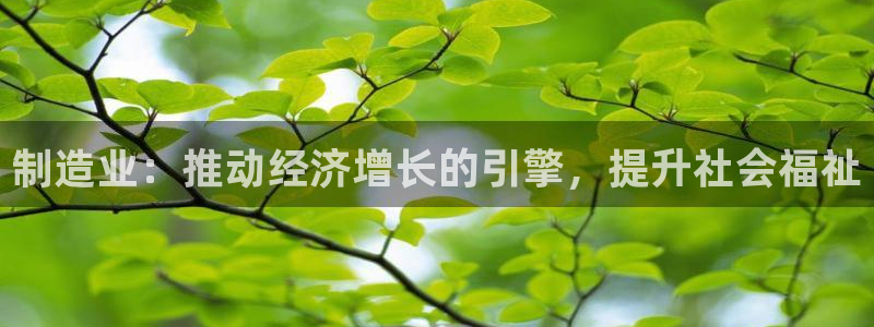 彩神是怎样一个平台赚钱的：制造业：推动经济增长的引擎，提升社