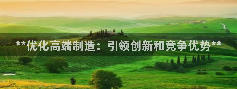彩神vll官网在线登录：**优化高端制造：引领创新和竞争优势**