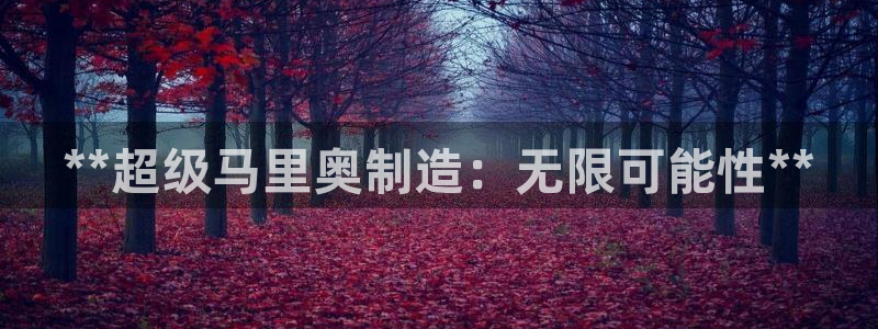 彩神8购彩-购彩大厅：**超级马里奥制造：无限可能性**
