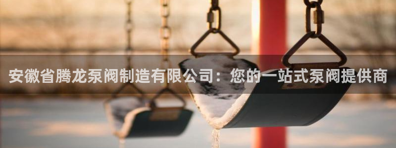 彩神争霸平台：安徽省腾龙泵阀制造有限公司：您的一站式泵阀提供商