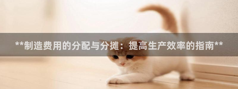 彩神v8手机客户端下载：**制造费用的分配与分摊：提高生产效