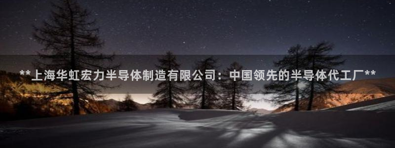 彩神ios下载：**上海华虹宏力半导体制造有限公司：中国领先的半导体代工厂**