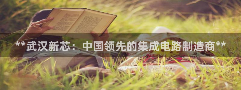 彩神8是正规平台吗知乎：**武汉新芯：中国领先的集成电路制造商**