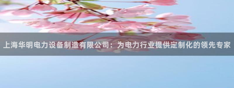 彩神v8iii