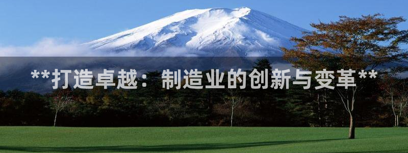 彩神合法吗.是国家认可的吗：**打造卓越：制造业的创新与变革