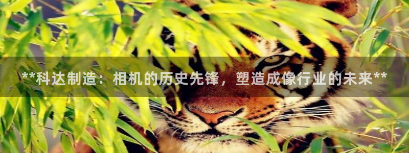 彩神v8手机客户端：**科达制造：相机的历史先锋，塑造成像行业的未来**