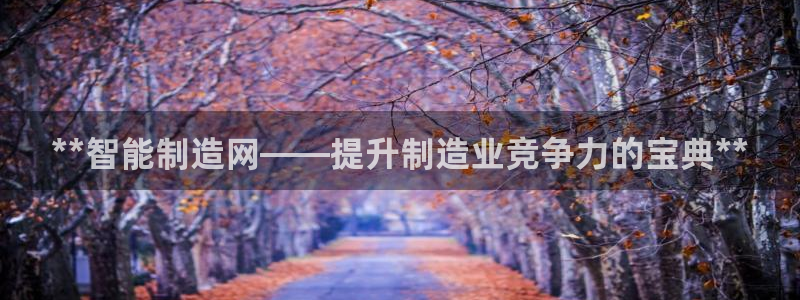 彩神v8购彩大厅登：**智能制造网——提升制造业竞争力的宝典**