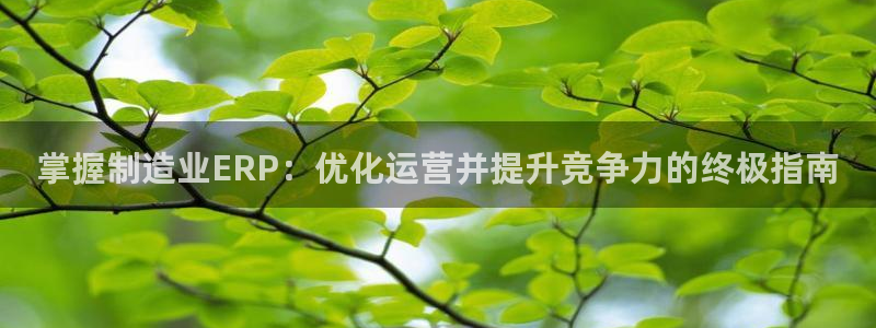 彩神赢的钱是哪里来的：掌握制造业ERP：优化运营并提升竞争力的终极指南