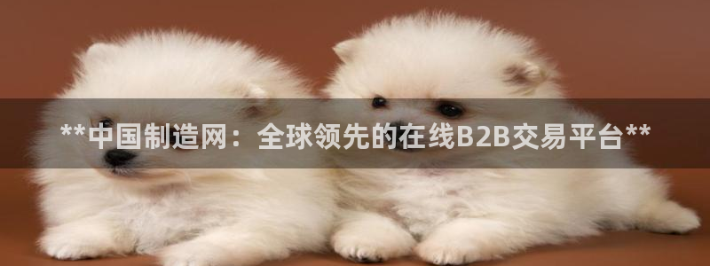 彩神v大众娱乐：**中国制造网：全球领先的在线B2B交易平台**