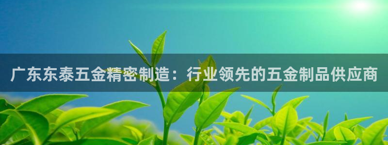 彩神vllⅰ购彩大厅：广东东泰五金精密制造：行业领先的五金制品供应商