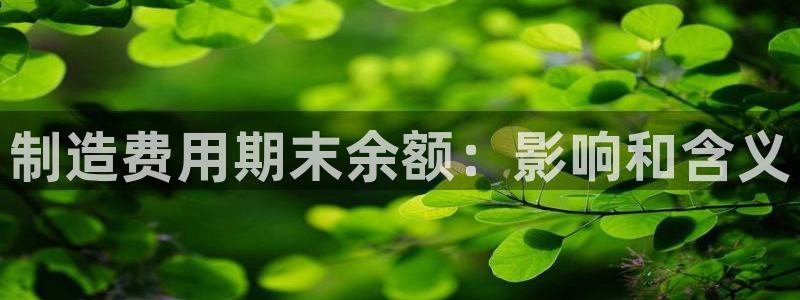 彩神8官网版：制造费用期末余额：影响和含义