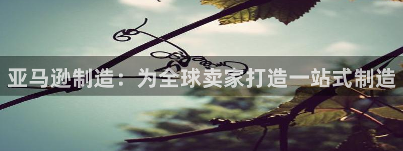 彩神v8iii：亚马逊制造：为全球卖家打造一站式制造