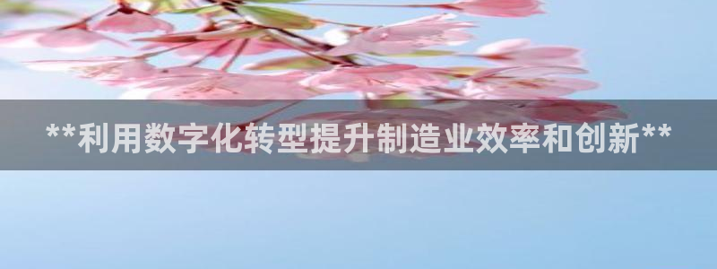 彩神ios下载：**利用数字化转型提升制造业效率和创新**