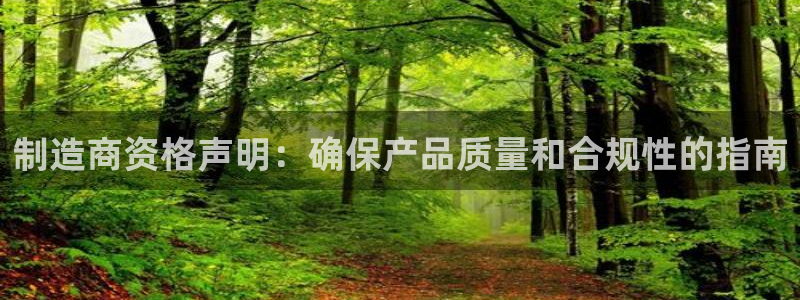彩神v争霸有限公司：制造商资格声明：确保产品质量和合规性的指南