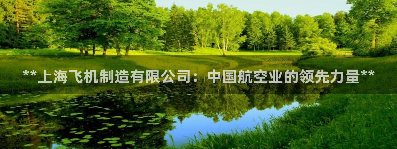 彩神xapp官方网站：**上海飞机制造有限公司：中国航空业的