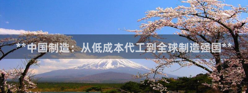 彩神vii官网大赢家：**中国制造：从低成本代工到全球制造强国**