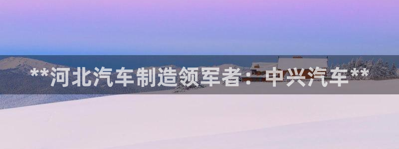 彩神v8购彩大厅登：**河北汽车制造领军者：中兴汽车**